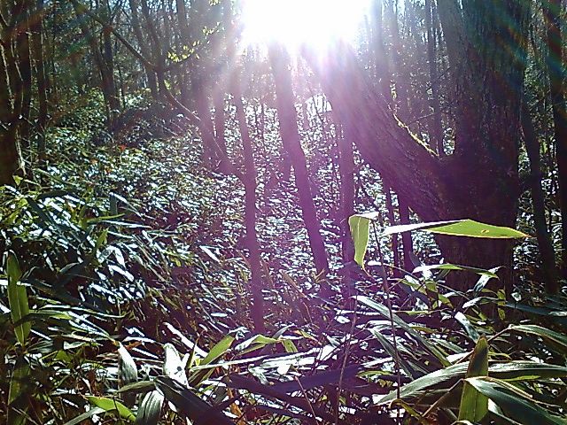 c0082573_1174115.jpg