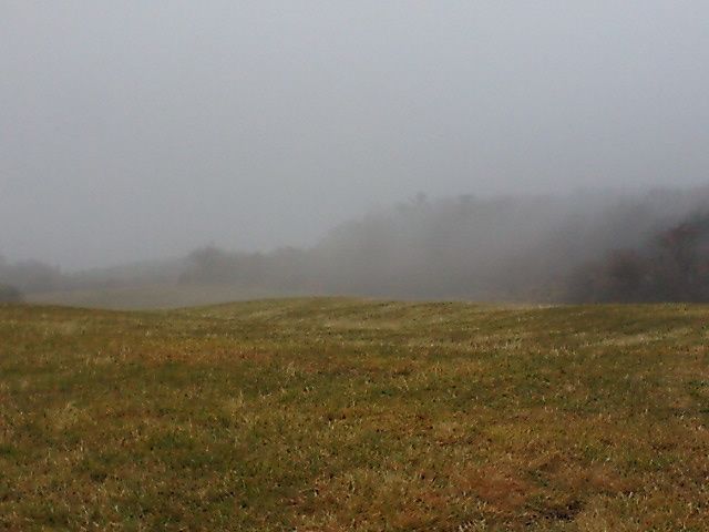 c0082573_121231.jpg