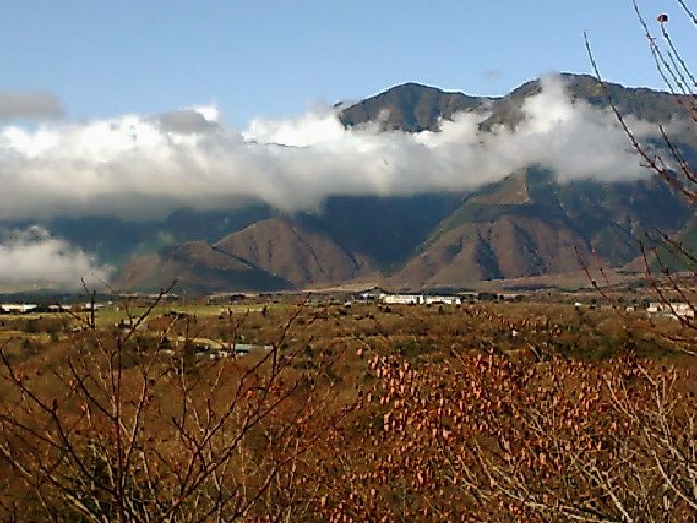 c0082573_165045.jpg
