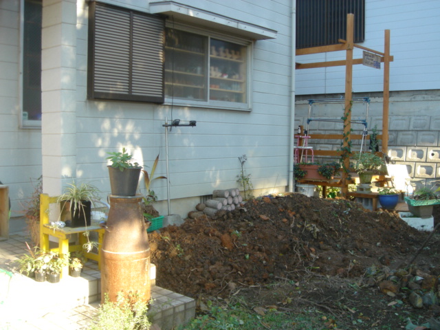 f0153383_201211.jpg