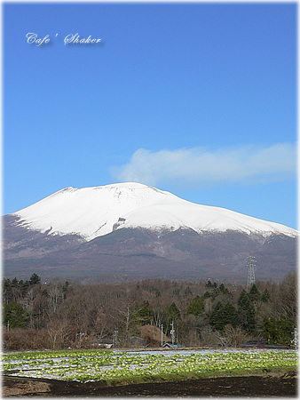 e0138787_10375850.jpg