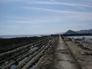 e0052088_1481169.jpg