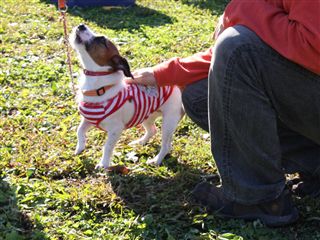 e0121589_041060.jpg