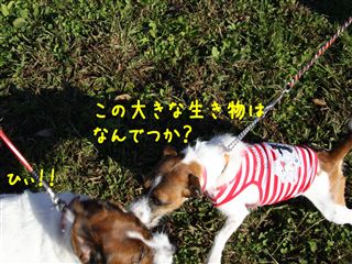 e0121589_043759.jpg
