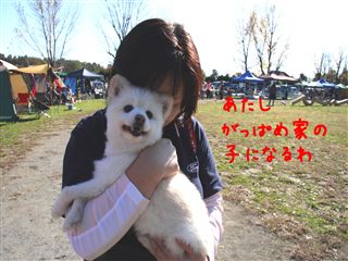 e0121589_0495972.jpg