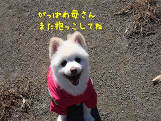e0121589_0564472.jpg