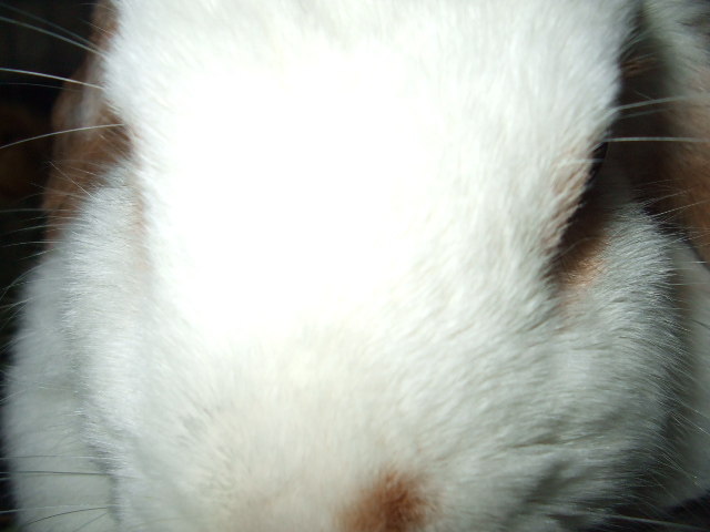 f0189791_23395971.jpg