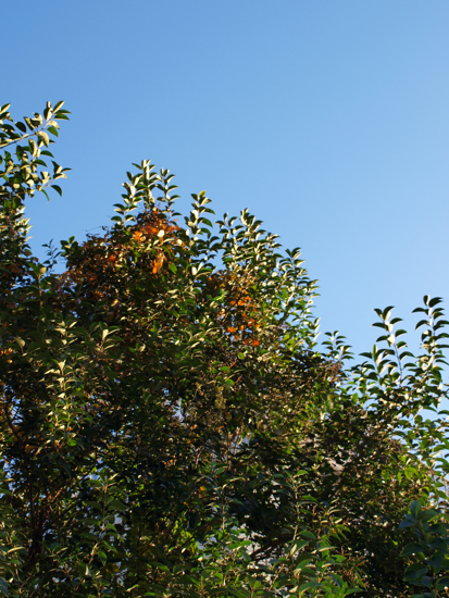 b0143292_22185816.jpg