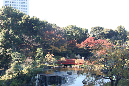 c0011696_524515.jpg