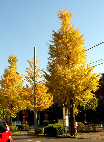 f0108399_22155634.jpg