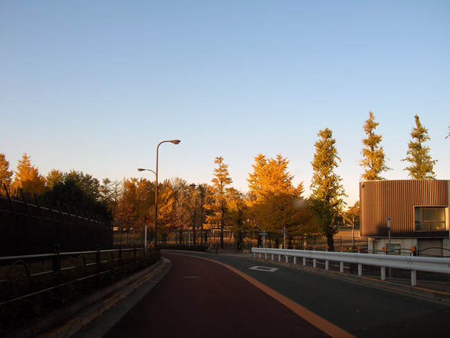 f0108399_22202766.jpg