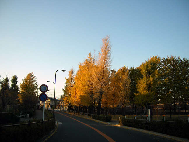 f0108399_2226487.jpg