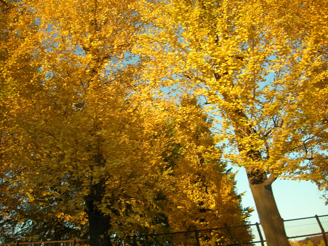 f0108399_2227655.jpg