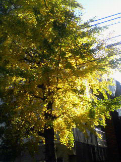 f0108399_23464945.jpg
