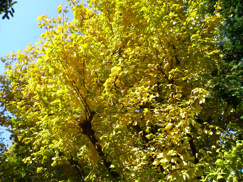 f0108399_23472943.jpg