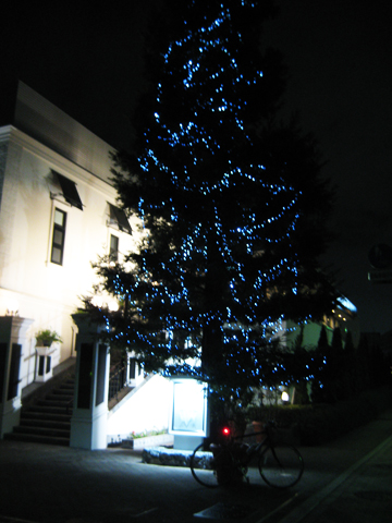 b0097200_2324375.jpg