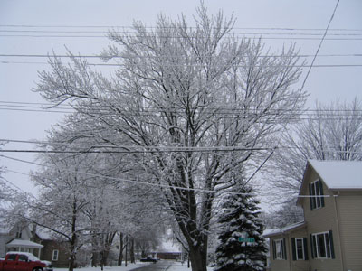 f0014600_1251420.jpg