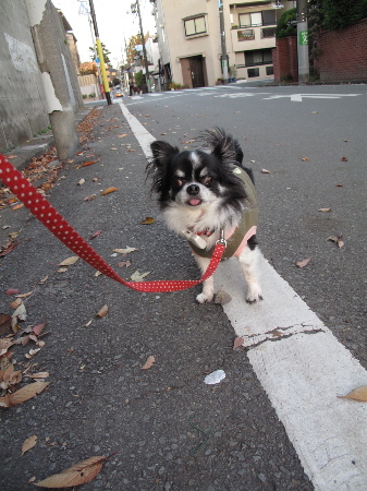 a0079803_22325877.jpg