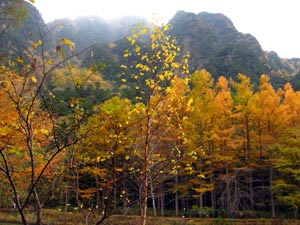 b0083405_22455821.jpg