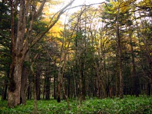 b0083405_22471444.jpg