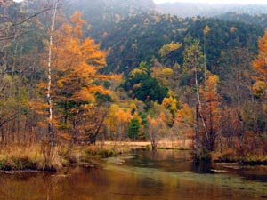 b0083405_22472563.jpg