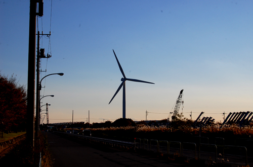 d0015006_353880.jpg