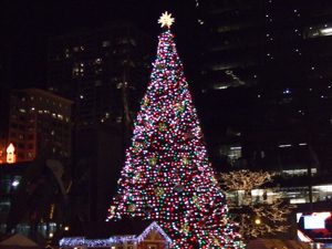 f0102814_3105543.jpg