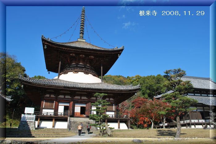 f0183814_7382893.jpg