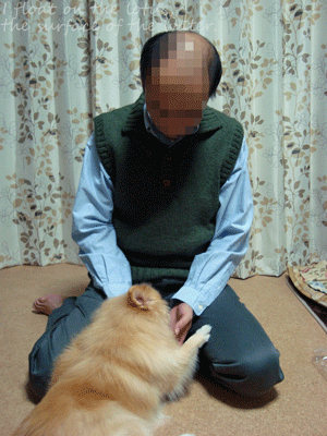 b0075318_20502675.gif