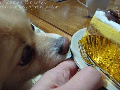 b0075318_20513445.gif