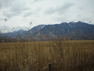 b0144519_16392289.jpg
