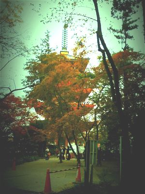 f0194020_043148.jpg