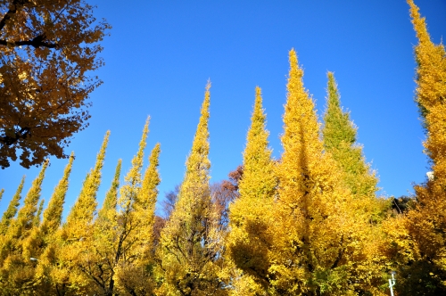 f0115921_183430.jpg