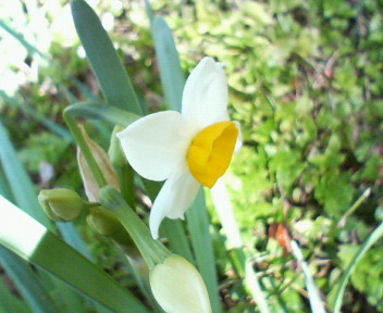 f0036223_10142563.jpg