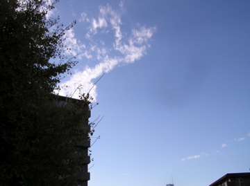 f0128723_1215327.jpg