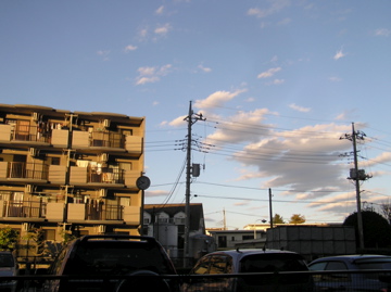 f0128723_1242645.jpg