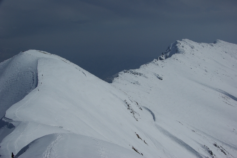 b0062024_20455768.jpg