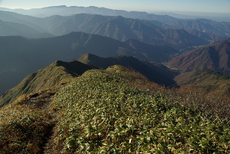 b0062024_2103523.jpg