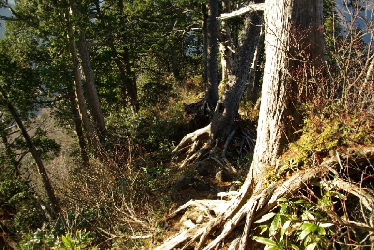 b0062024_21103815.jpg