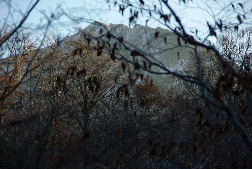 b0062024_21122950.jpg