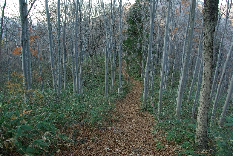 b0062024_21131882.jpg