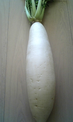 c0141025_2326153.jpg