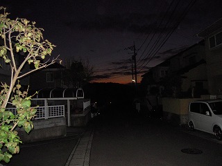 b0134728_1459744.jpg