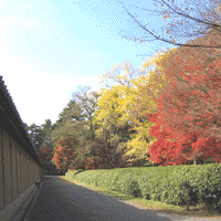 d0033734_11234618.gif