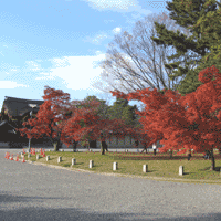 d0033734_11241136.gif