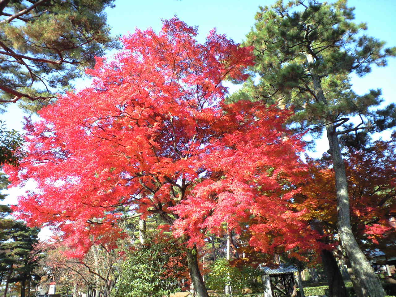 f0131934_2037189.jpg
