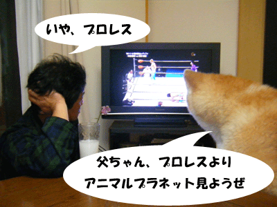 f0008935_16121751.gif