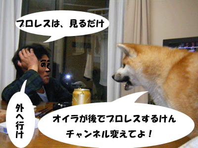 f0008935_1612304.gif
