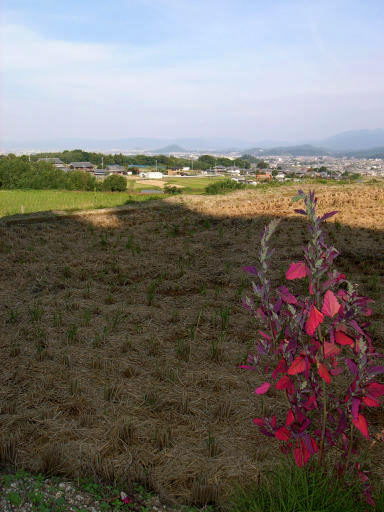 c0032138_22433712.jpg