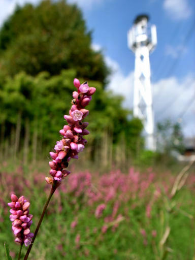 c0032138_22445662.jpg